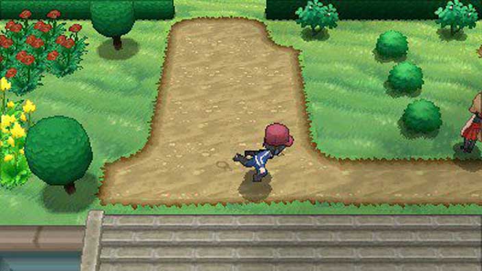 pokemon x nds